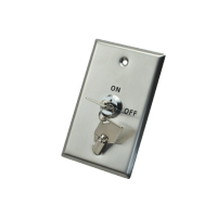 X2 Key Switch, Stainless Steel, Large, DPDT